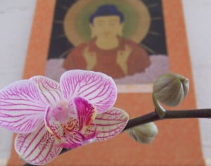 Tao Sangha