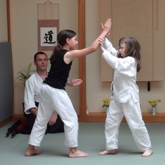 Aikido Summer Camp